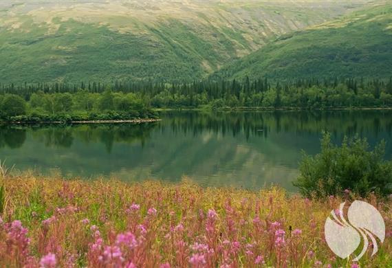 拉普兰自然保护区